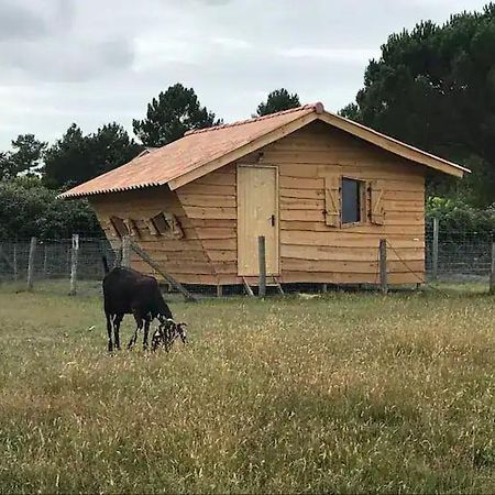 Gite - La Ferme A La Plage Le Porge Exteriör bild