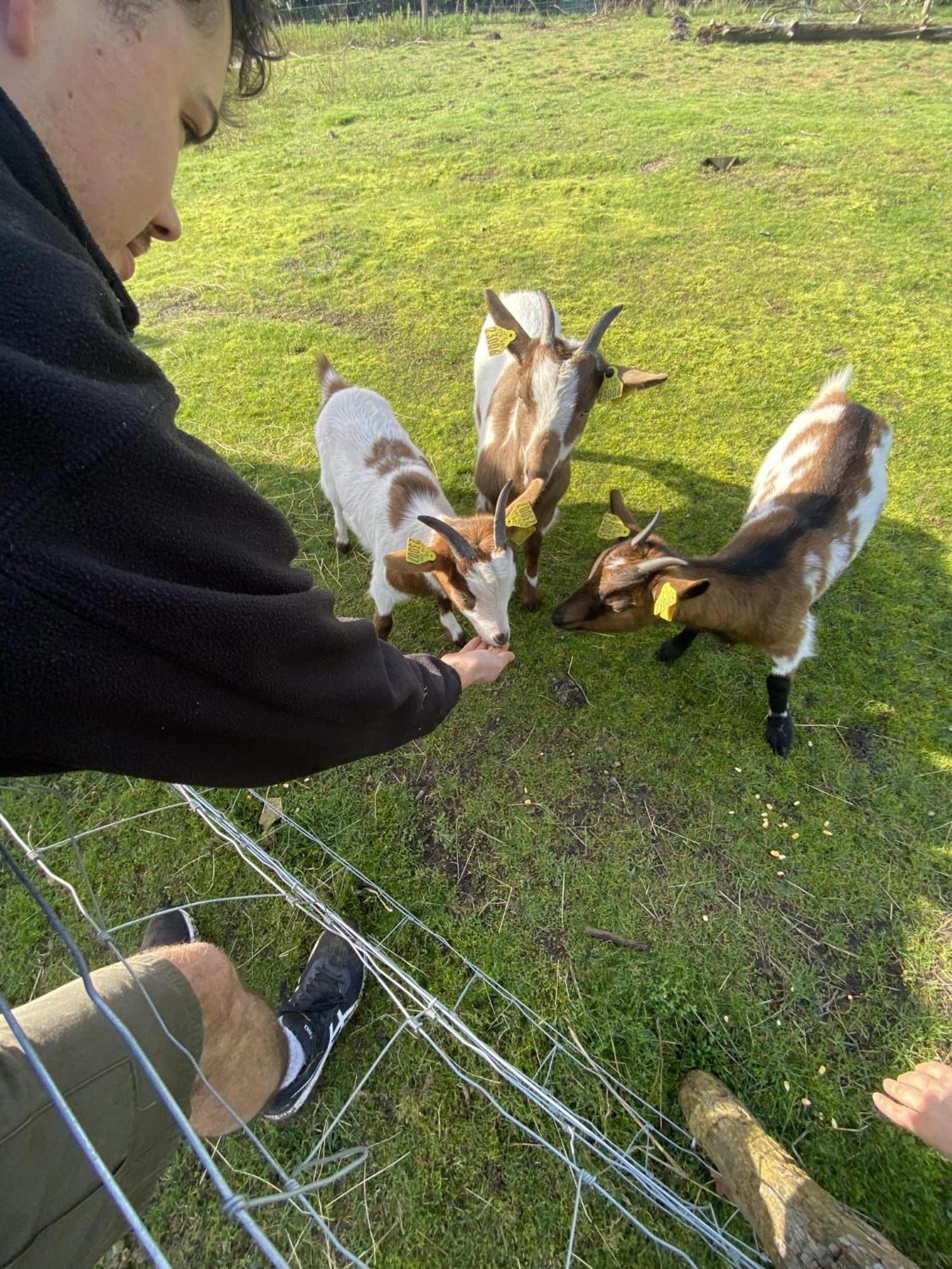 Gite - La Ferme A La Plage Le Porge Exteriör bild