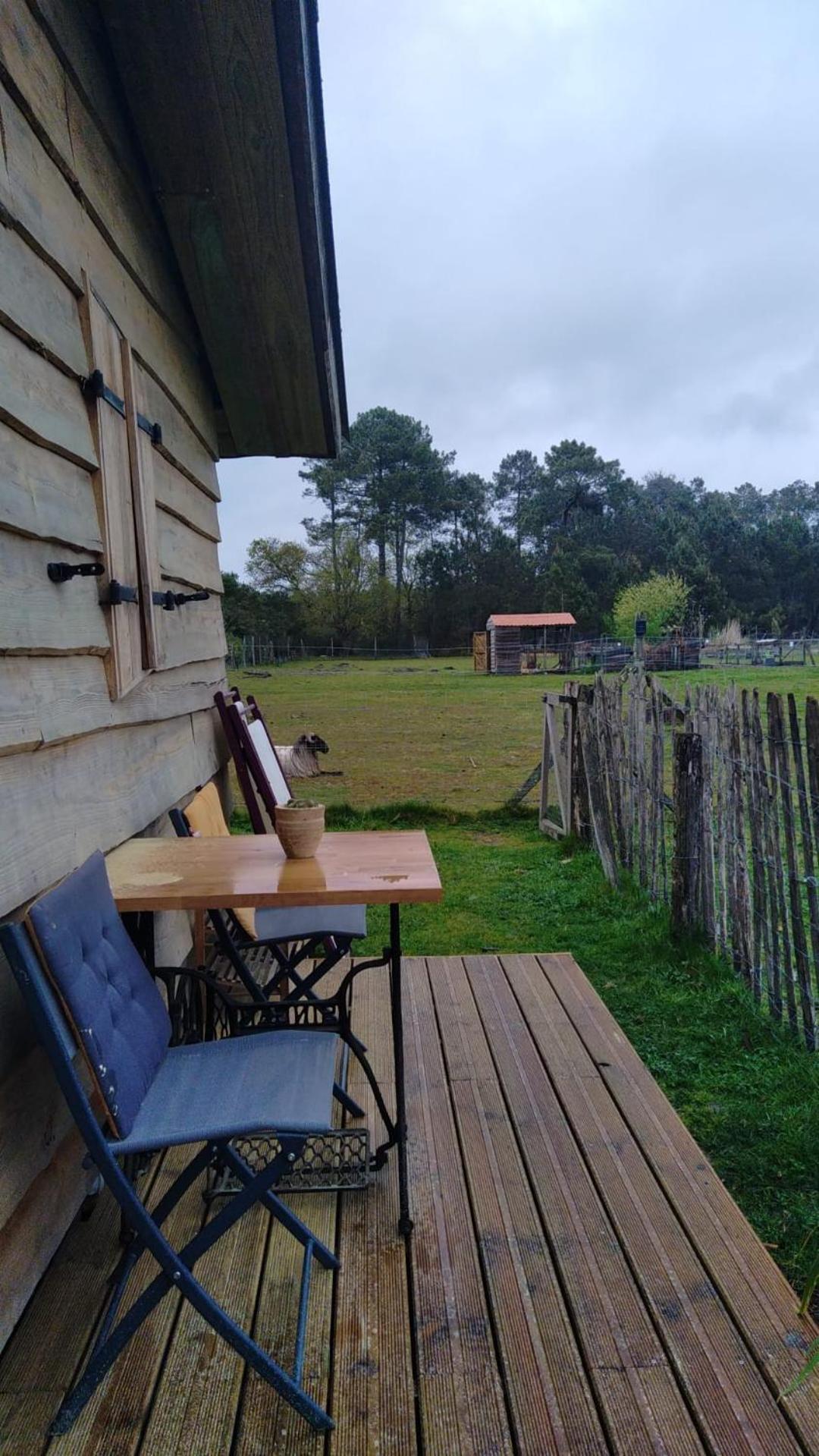 Gite - La Ferme A La Plage Le Porge Exteriör bild
